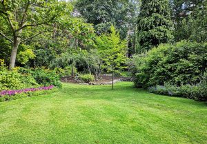Optimiser l'expérience du jardin à La Villeneuve-au-Chatelot